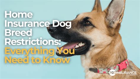 Does State Farm Refuse Home Insurance Because Of Dogs